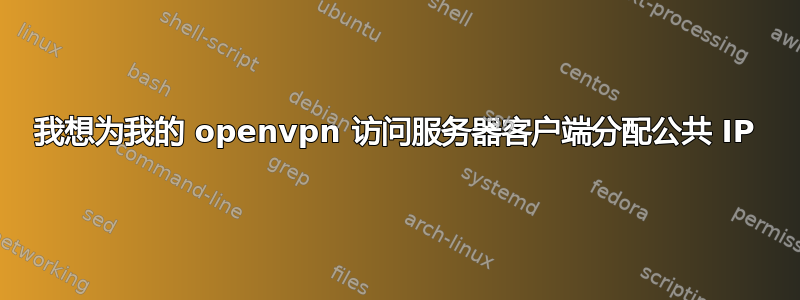 我想为我的 openvpn 访问服务器客户端分配公共 IP