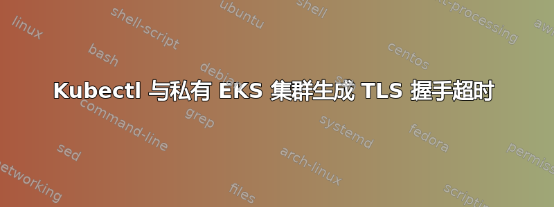 Kubectl 与私有 EKS 集群生成 TLS 握手超时