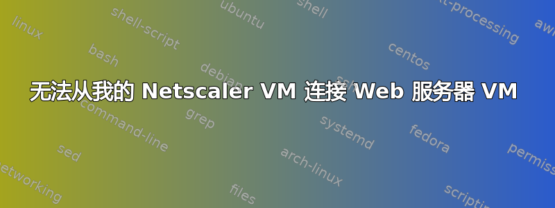 无法从我的 Netscaler VM 连接 Web 服务器 VM