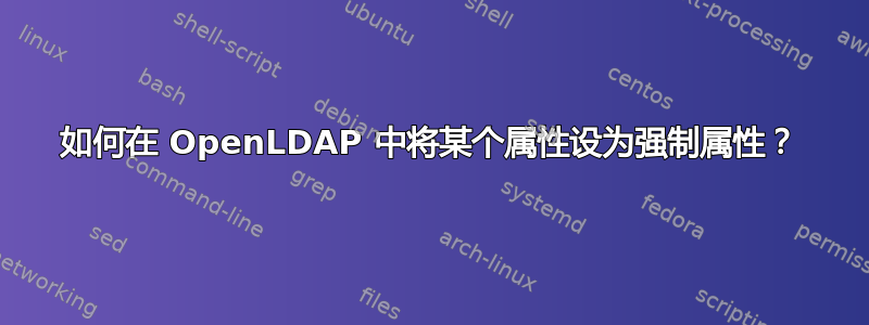 如何在 OpenLDAP 中将某个属性设为强制属性？