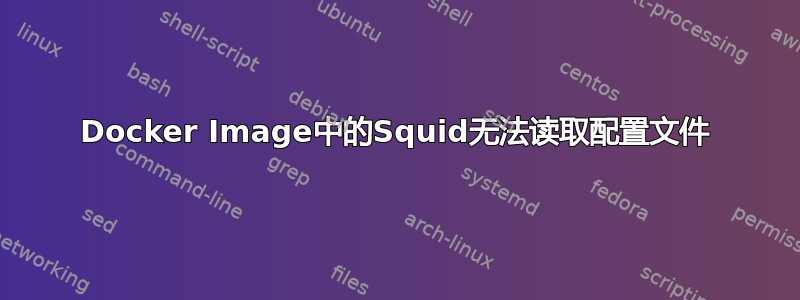 Docker Image中的Squid无法读取配置文件