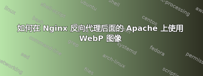 如何在 Nginx 反向代理后面的 Apache 上使用 WebP 图像