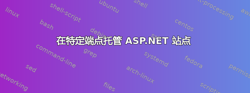 在特定端点托管 ASP.NET 站点