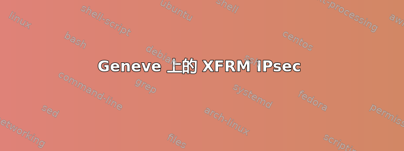 Geneve 上的 XFRM IPsec