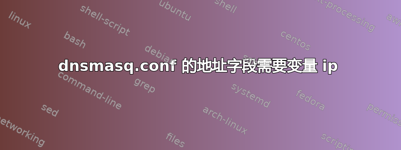 dnsmasq.conf 的地址字段需要变量 ip