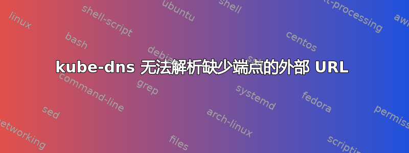 kube-dns 无法解析缺少端点的外部 URL