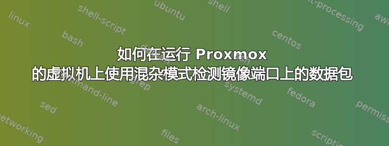 如何在运行 Proxmox 的虚拟机上使用混杂模式检测镜像端口上的数据包