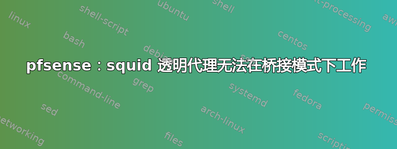 pfsense：squid 透明代理无法在桥接模式下工作