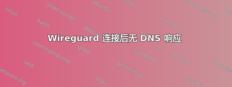 Wireguard 连接后无 DNS 响应