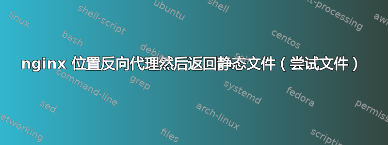 nginx 位置反向代理然后返回静态文件（尝试文件）