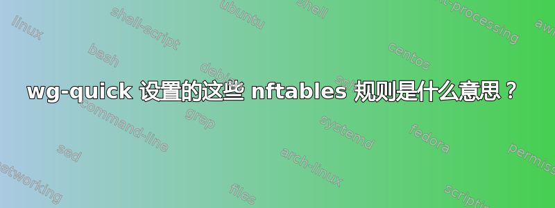 wg-quick 设置的这些 nftables 规则是什么意思？