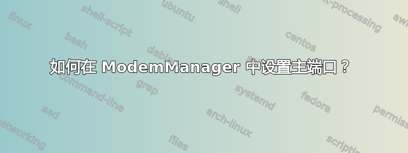 如何在 ModemManager 中设置主端口？