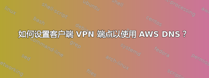 如何设置客户端 VPN 端点以使用 AWS DNS？