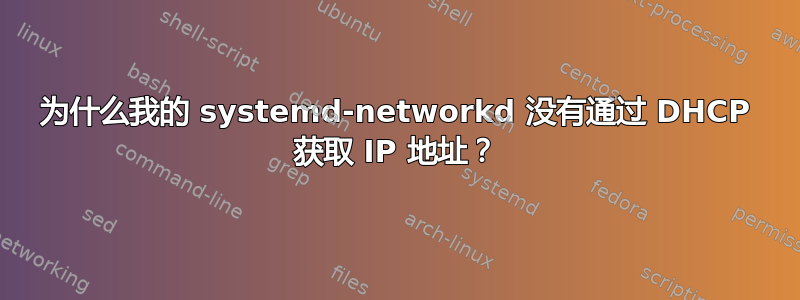 为什么我的 systemd-networkd 没有通过 DHCP 获取 IP 地址？