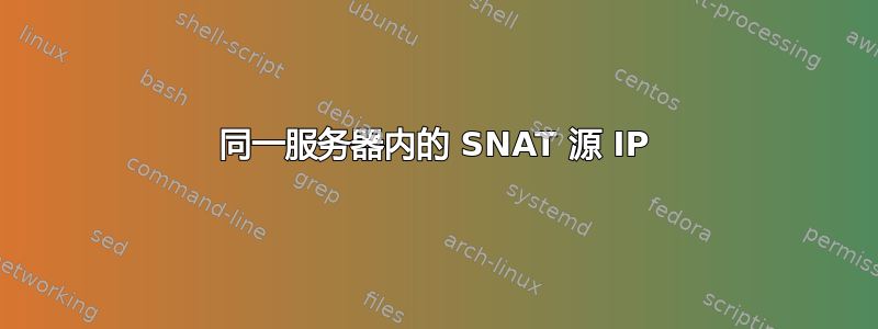 同一服务器内的 SNAT 源 IP