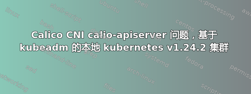 Calico CNI calio-apiserver 问题，基于 kubeadm 的本地 kubernetes v1.24.2 集群