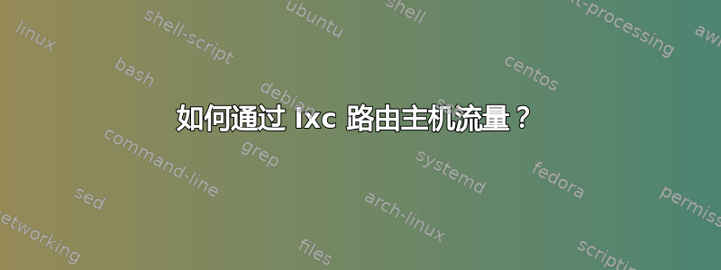 如何通过 lxc 路由主机流量？