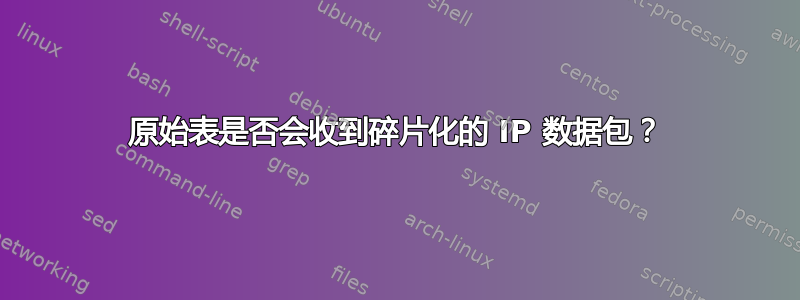 原始表是否会收到碎片化的 IP 数据包？