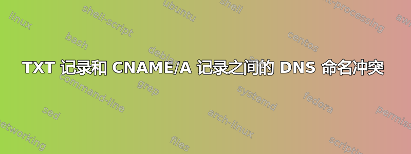 TXT 记录和 CNAME/A 记录之间的 DNS 命名冲突