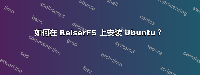 如何在 ReiserFS 上安装 Ubuntu？