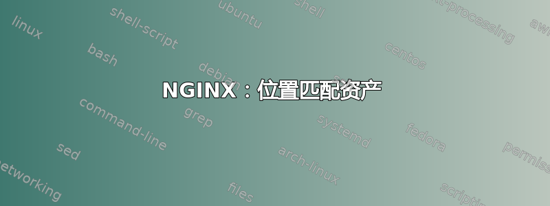 NGINX：位置匹配资产