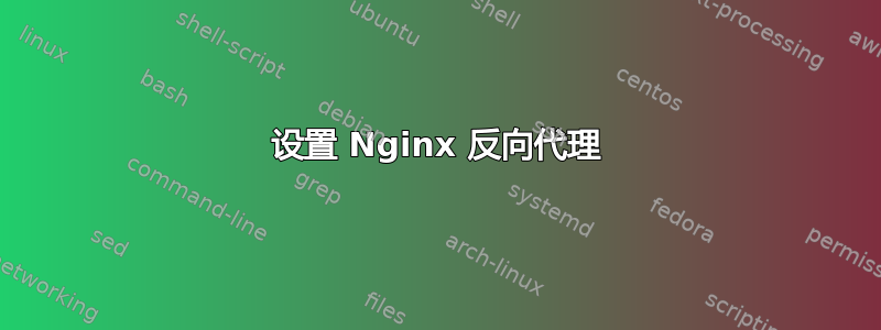 设置 Nginx 反向代理