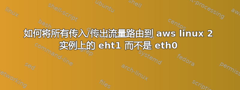 如何将所有传入/传出流量路由到 aws linux 2 实例上的 eht1 而不是 eth0