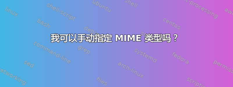 我可以手动指定 MIME 类型吗？