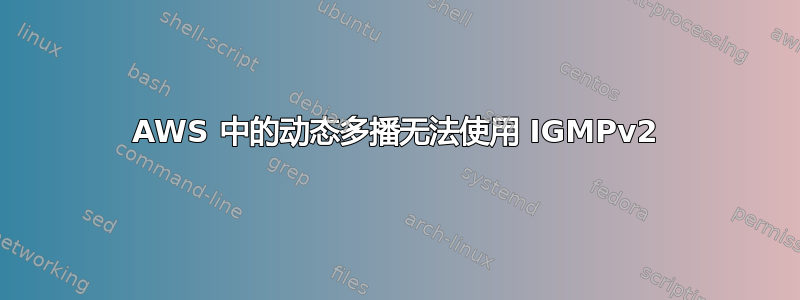 AWS 中的动态多播无法使用 IGMPv2