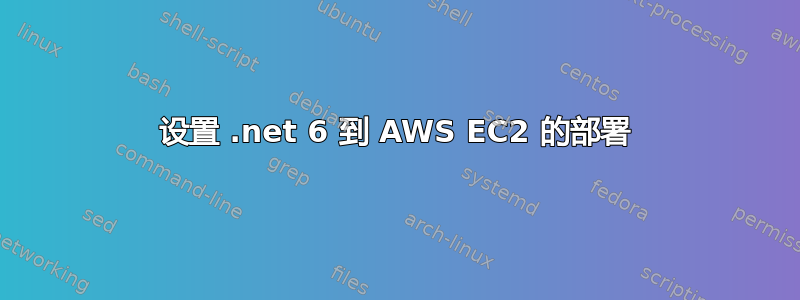 设置 .net 6 到 AWS EC2 的部署