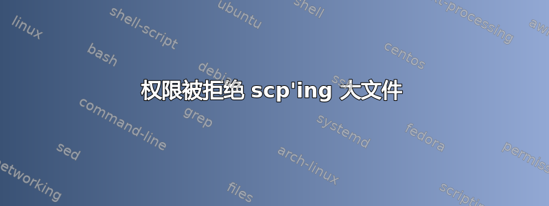 权限被拒绝 scp'ing 大文件