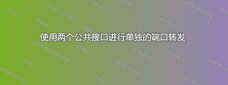 使用两个公共接口进行单独的端口转发