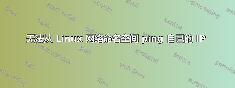 无法从 Linux 网络命名空间 ping 自己的 IP