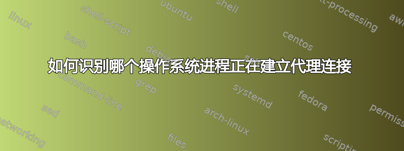 如何识别哪个操作系统进程正在建立代理连接