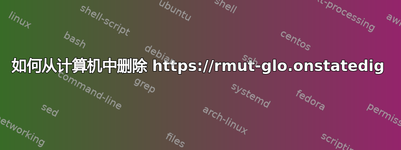 如何从计算机中删除 https://rmut-glo.onstatedig