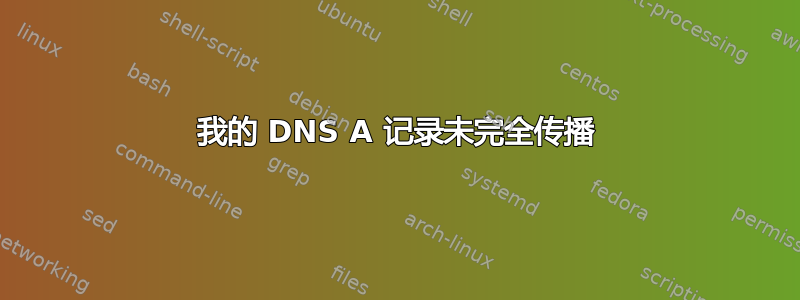 我的 DNS A 记录未完全传播