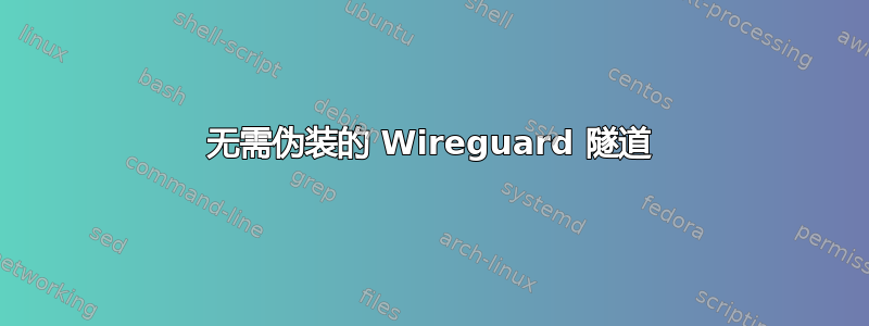 无需伪装的 Wireguard 隧道