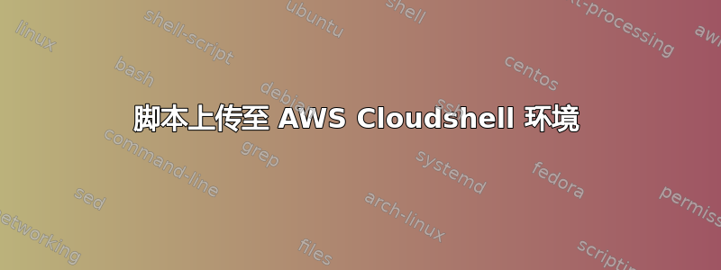 脚本上传至 AWS Cloudshell 环境