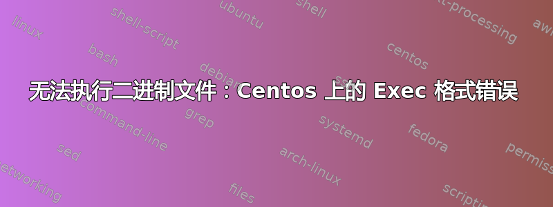 无法执行二进制文件：Centos 上的 Exec 格式错误