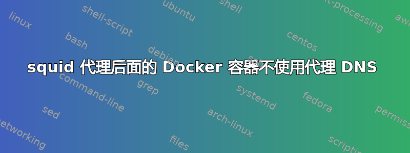 squid 代理后面的 Docker 容器不使用代理 DNS