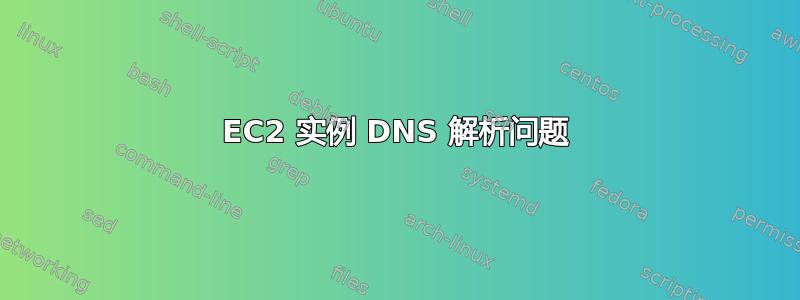 EC2 实例 DNS 解析问题