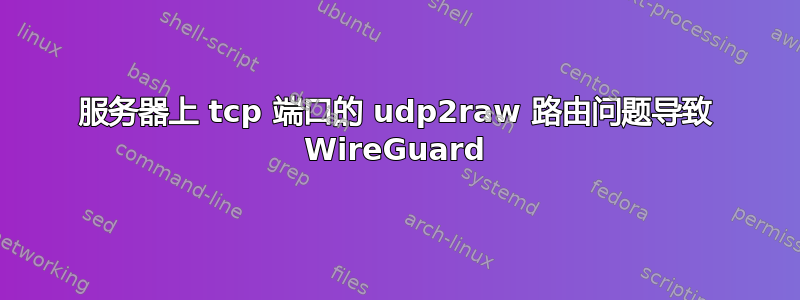 服务器上 tcp 端口的 udp2raw 路由问题导致 WireGuard