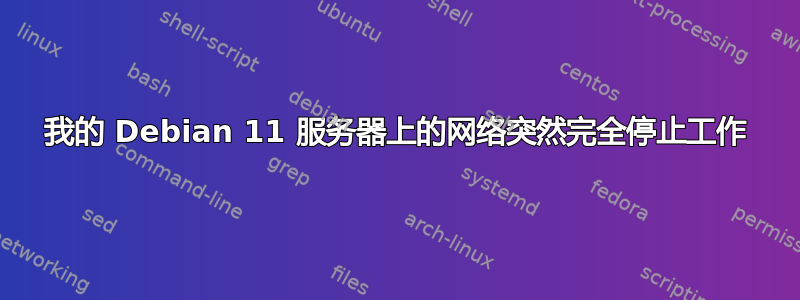 我的 Debian 11 服务器上的网络突然完全停止工作