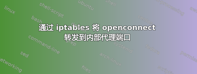 通过 iptables 将 openconnect 转发到内部代理端口