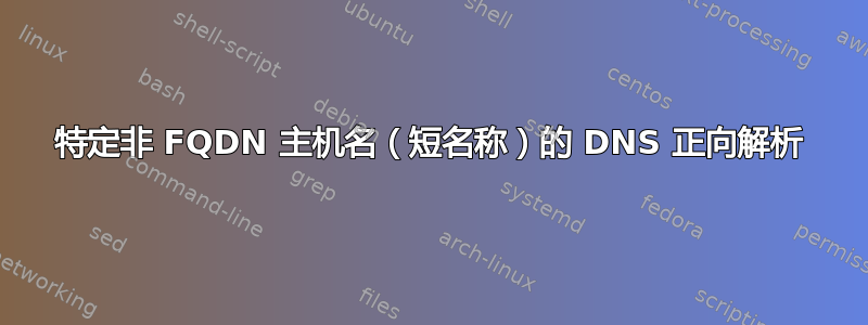 特定非 FQDN 主机名（短名称）的 DNS 正向解析