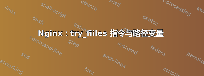 Nginx：try_fiiles 指令与路径变量