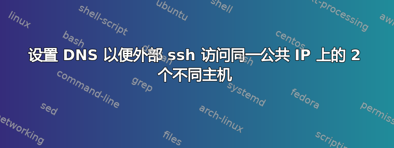 设置 DNS 以便外部 ssh 访问同一公共 IP 上的 2 个不同主机