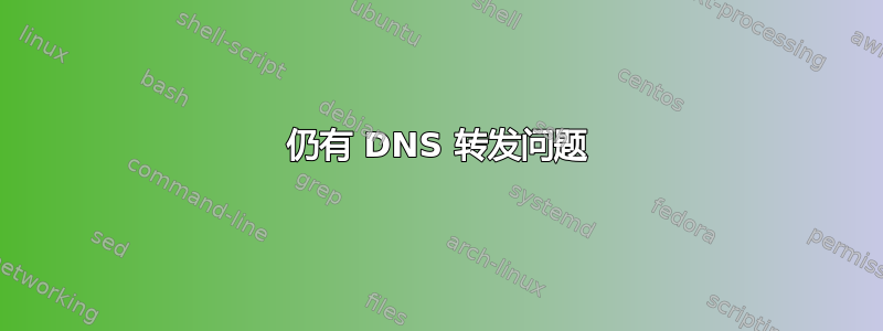 仍有 DNS 转发问题