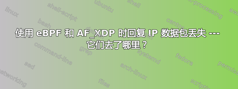 使用 eBPF 和 AF_XDP 时回复 IP 数据包丢失 --- 它们去了哪里？