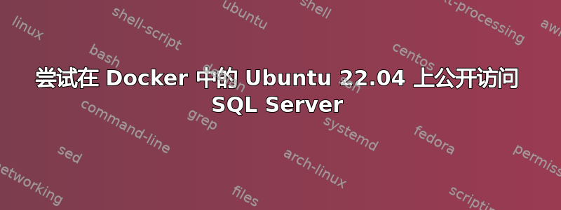 尝试在 Docker 中的 Ubuntu 22.04 上公开访问 SQL Server